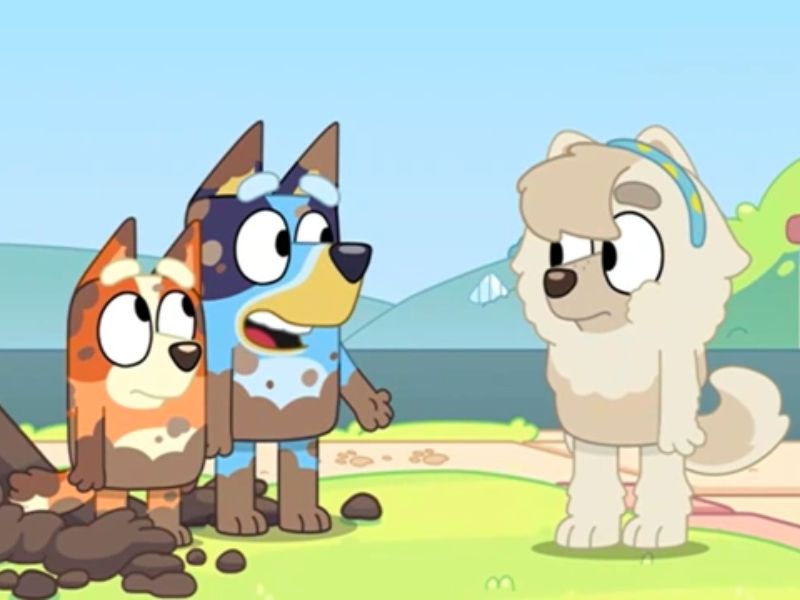 What kind of dog is Judo from Bluey?