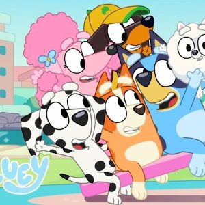How old is Bluey the show?