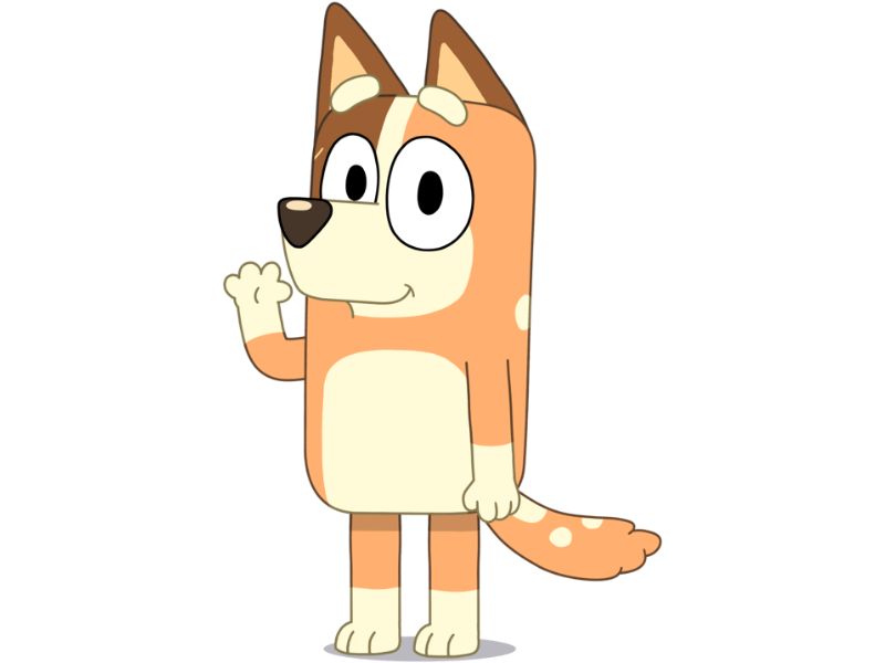What kind of dog is Chili from Bluey?