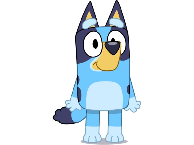 Who does Bluey marry?