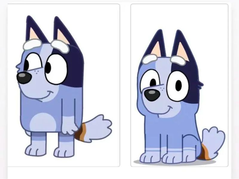 Is Socks from Bluey a boy or girl?