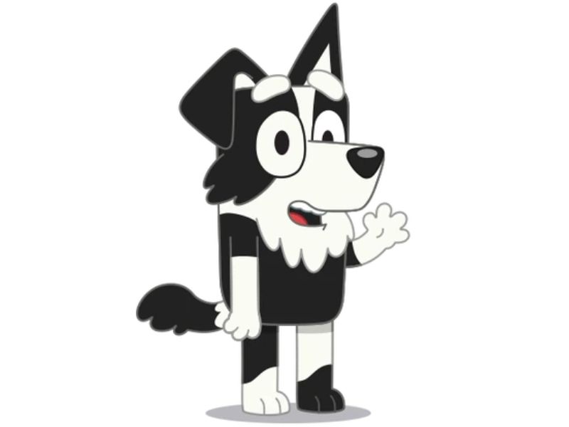 What kind of dog is Mackenzie from Bluey?
