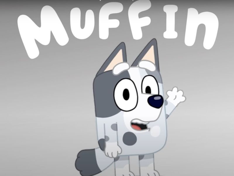 

Who voices Muffin in Bluey?