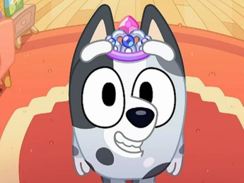 What kind of dog is Muffin from Bluey?