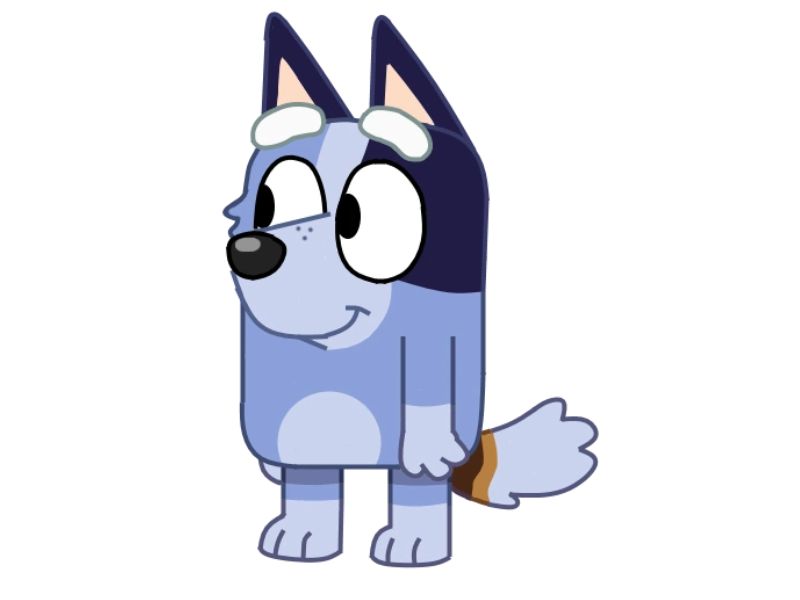 Why does Socks from Bluey act like a dog?