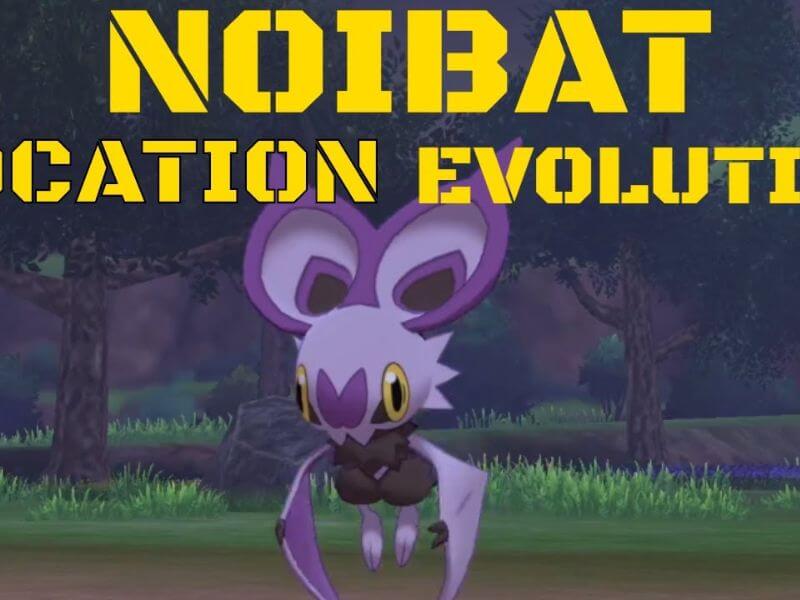 what level does noibat evolve in pokemon sword