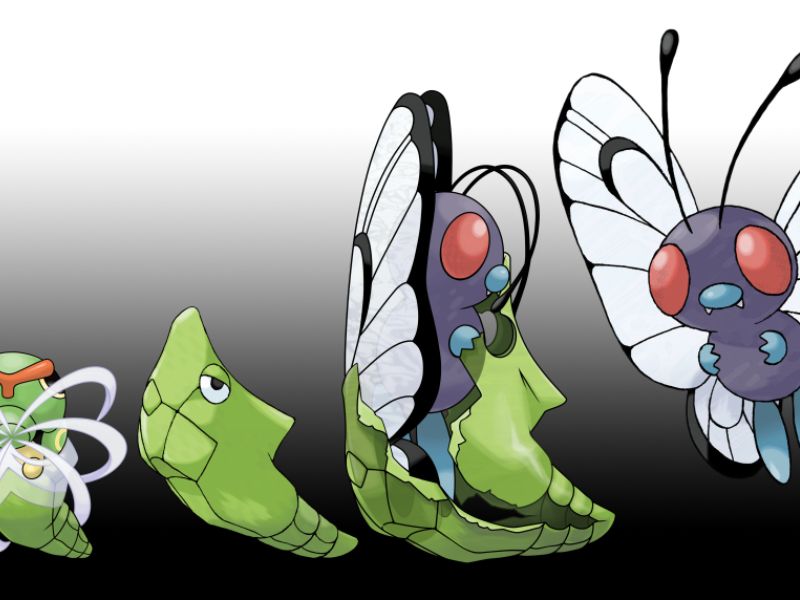 when does metapod evolve