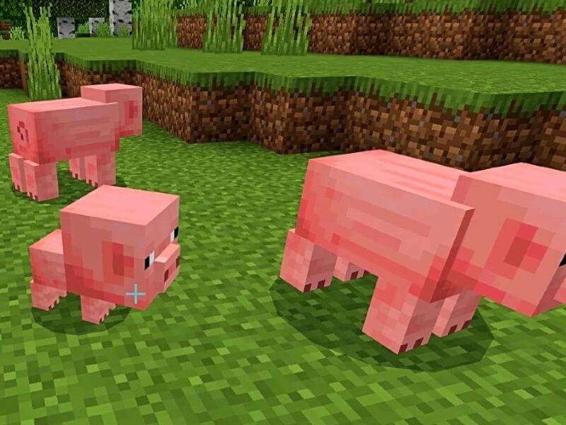 what do axolotls eat in minecraft