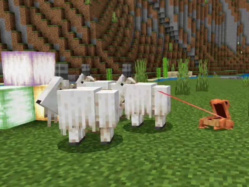 what do sheep eat in minecraft