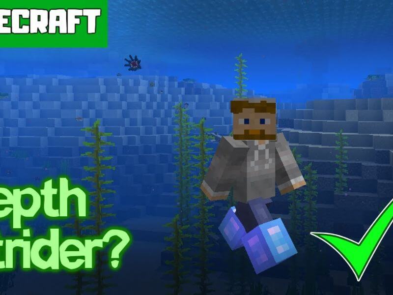 what do fish eat in minecraft