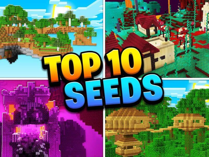 what is the best seed in minecraft